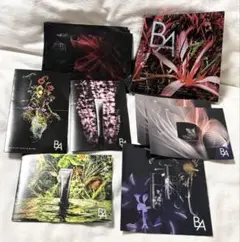 POLA B.Aシリーズ試供品セット(SYMBOLIC COLLECTION)のサムネイル