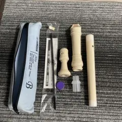 Item thumbnail for item d8393930-f628-42ec-963e-3b2cdb8ba333