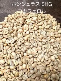 【生豆】　ホンジュラス SHG コカフェロル 200g