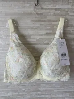 E85」トリンプ プレミアム レッドレーベル クチナシの花 フルカップブラジャー