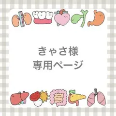 きゃさ様専用ページ