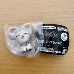 StrayKids SKZOO サウナフィギュア アイエン ガチャ カプセルトイ