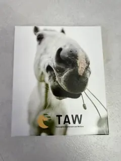 TAW 10色プラクレヨン 引退競走馬支援グッズのサムネイル