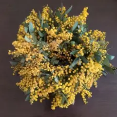 ミモザとユーカリのリース 直径約20cmドライフラワー