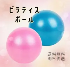 ピラティスボール　エクササイズ　トレーニング　運動　体幹　ヨガ　ボール