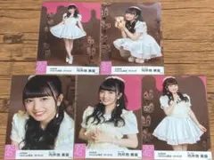 向井地美音 netShop限定 2018.02 生写真 5枚 AKB48①
