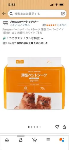 Item thumbnail for item 93e4a864-6d77-4bc5-88e3-5a8f4a235669