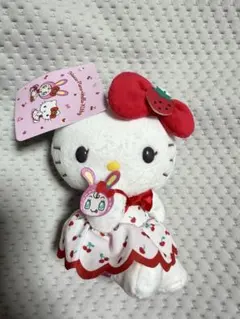 【USS限定】ハローキティ ぬいぐるみキーホルダー シンガポール レア ユニバーサルスタジオシンガポール限定 ハローキティマスコット - メルカリ