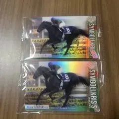 サラブレッドホースコレクション第１Ｒ 金色箔押しサイン カード１３枚セット サラブレッドホースコレクション ツインウエハース｜バンダイ