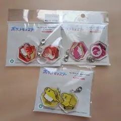 ポケモン アクリルマーカーチャーム シャリタツ