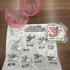 ポケモン30周年メタルチャームマスコット アローラ、ガラル、パルデア⭐︎ザマゼンタ