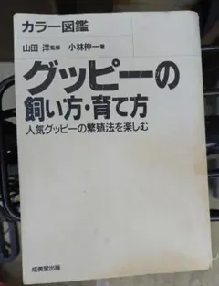 Item thumbnail for item bf8aa301-a8b4-4fdf-af15-5f0f8f91f246