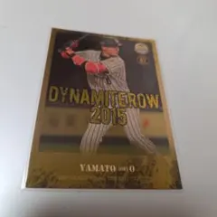 ジロー様 リクエスト 3点 まとめ商品