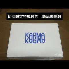 Stray Kids KARMA 通常盤(白) 初回特典付き 新品未開封