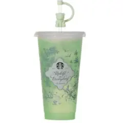 2026ミステリーカラーチェンジングリユーザブルコールドカップ710ml