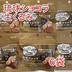 【ケンコーフーズ】琉球ショコラ 生くるみ入り 6袋