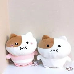 SALE もちにゃみ BIGぬいぐるみ ピンクパジャマ ノーマル 2種セット