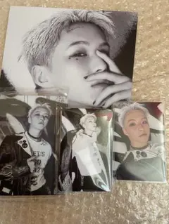 SEVENTEEN DAREDEVIL盤 バインダー ホシ