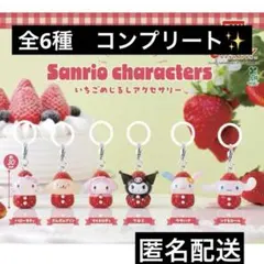 サンリオキャラクターズ　いちごめじるしアクセサリー　全６種　コンプリート✨