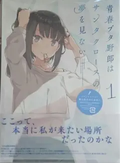 青春ブタ野郎はサンタクロースの夢を見ない