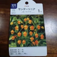 Tweety様 リクエスト 2点 まとめ商品