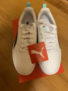 Item thumbnail for item 29bd4f9e-c898-4ded-a4e0-7fde38d649cc