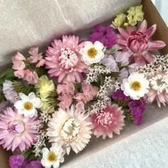 ドライフラワー花材セット　No.81