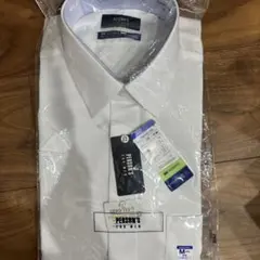 Item thumbnail for item fa9edba6-e029-4f3f-a599-84a9eb322ae1