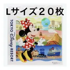 ディズニーリゾート　ショッピング袋　新デザイン　Lサイズ