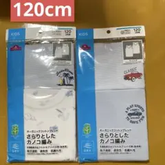 Item thumbnail for item 810e395f-0dad-4fa3-8d8e-425c53112a1a