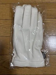 丸山茂樹サイン入りゴルフグローブ - メルカリ