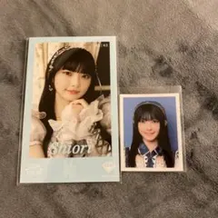 Item thumbnail for item 8e29e688-4493-4472-98d0-28088e3aacb0