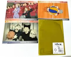 劇場版ハイキュー!! ゴミ捨て場の決戦展 トレーディングスナップカードセット