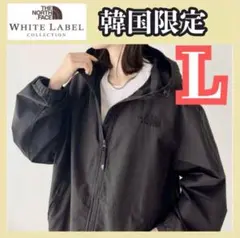 韓国限定　日本未発売　ノースフェイス　マウンテンパーカー　ジャケット　フード　L