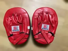 【トレーニング用】WORLD FAMOUS ミット（格闘技）のサムネイル