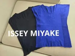 ISSEY MIYAKE イッセイミヤケ ノースリーブ プリーツニット 2枚