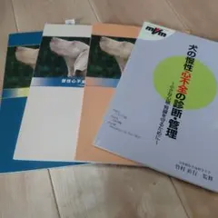 YS様 リクエスト 3点 まとめ商品