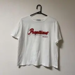 レディース　Tシャツ　刺繍ロゴ入り　Mサイズ