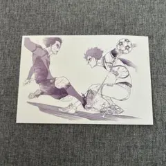 ブルーロック アニメイトオンリーショップ ポストカード 特典 糸師 凛 糸師 冴