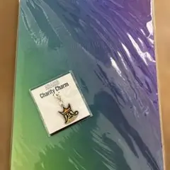 嵐 Beautiful World パンフレット　チャリティチャーム　セット