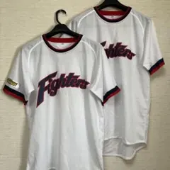 2026年最新】北海道日本ハムファイターズ 野球 応援グッズ