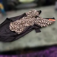 Item thumbnail for item 3b19fdae-4c26-4fb9-b5b6-42b99caf3073