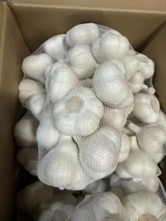 新物 令和8年度産 青森県産 福地ホワイト六片 生にんにく L 玉 1kg