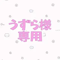 【うずら様　専用】⭐︎
