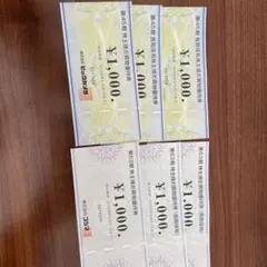 株主優待券 ¥1,000 6枚セット