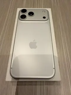 Apple iPhone 17 Pro Max 256GB シルバー