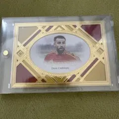 Item thumbnail for item ccd17b3e-f1f8-47b0-8aeb-206b7c451daf