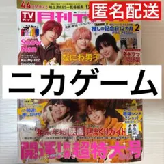 ニカゲーム 月刊TVガイド切り抜き