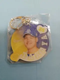 どらにゃ様 リクエスト 5点 まとめ商品