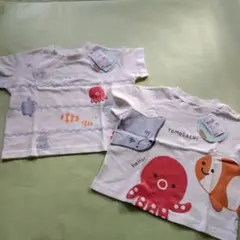 Item thumbnail for item 31bbed59-ab51-4dd7-a7a6-98b2263be161